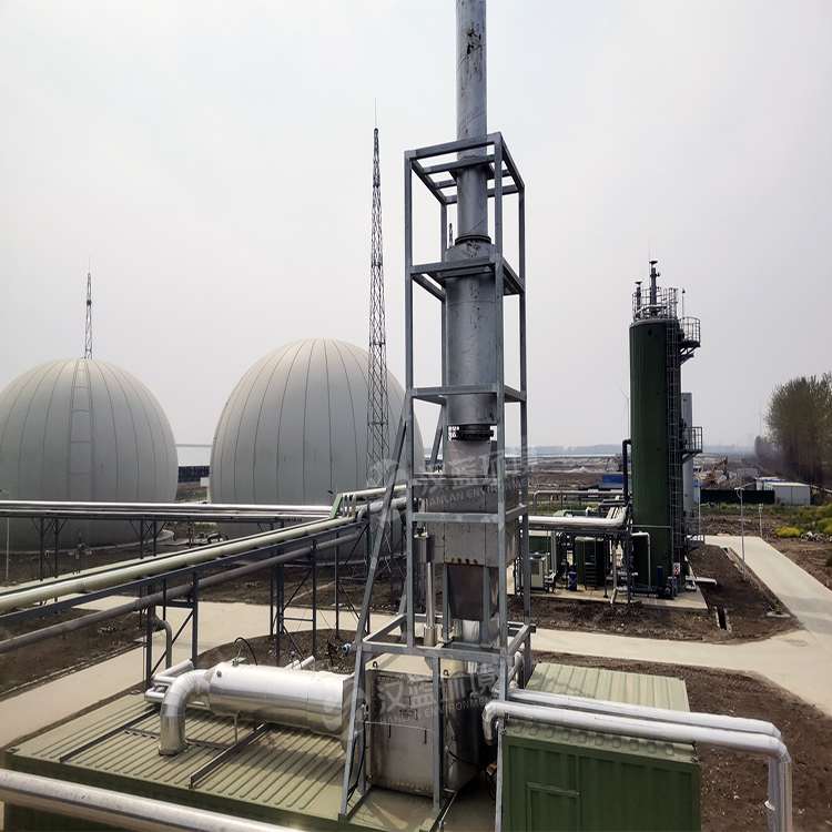 萬純SCR脫硝系統(tǒng)-沼氣發(fā)電機(jī)組脫硝